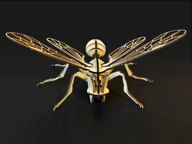 Bee Model