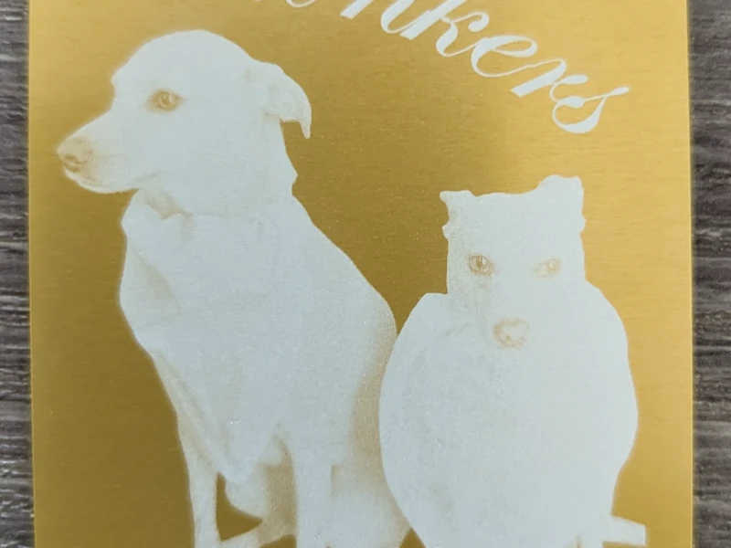 Doggos on Anodized Aluminum Business card