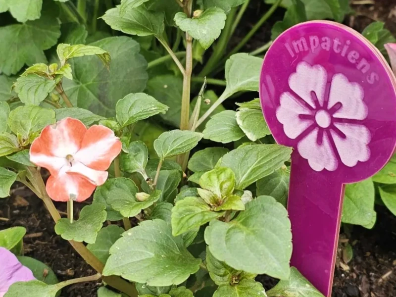 Acrylic Flower Plant Stakes